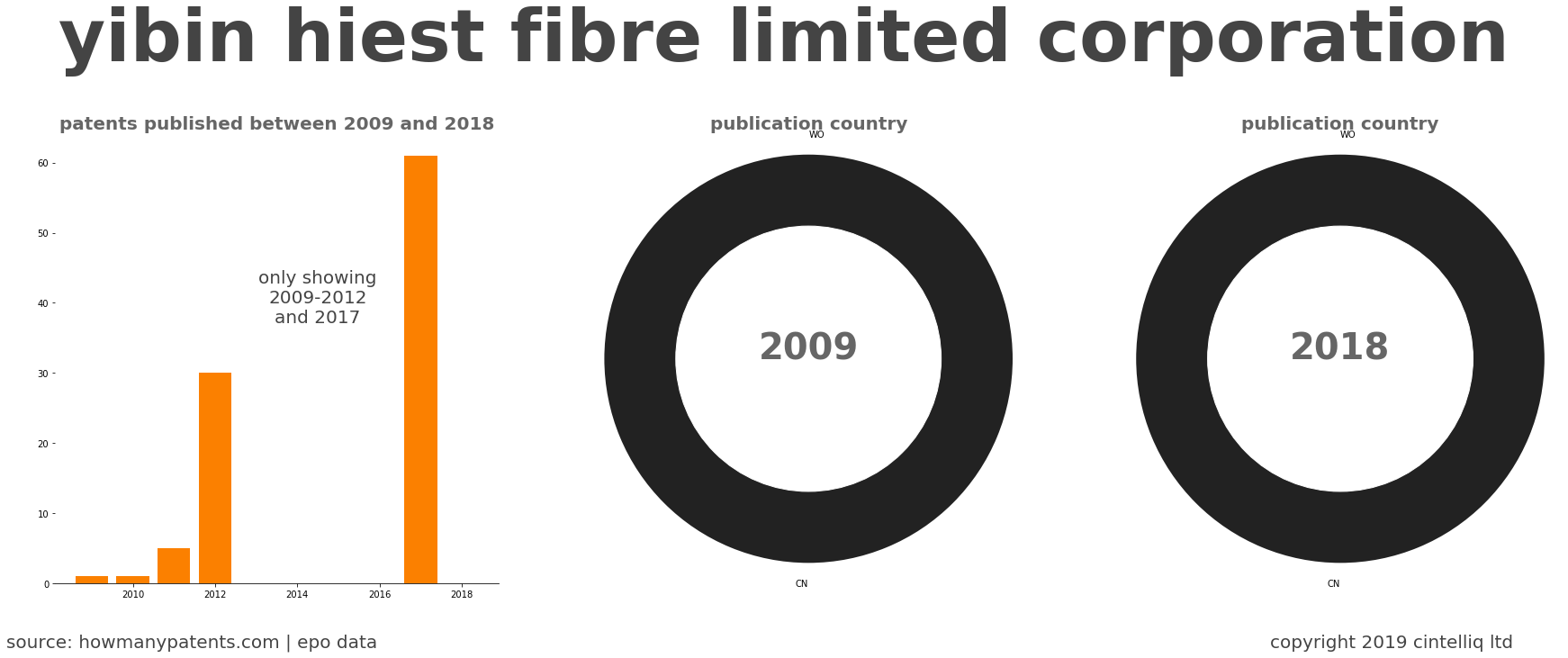summary of patents for Yibin Hiest Fibre Limited Corporation