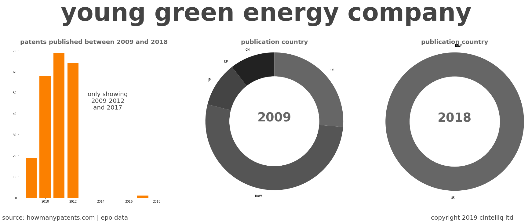 summary of patents for Young Green Energy Company